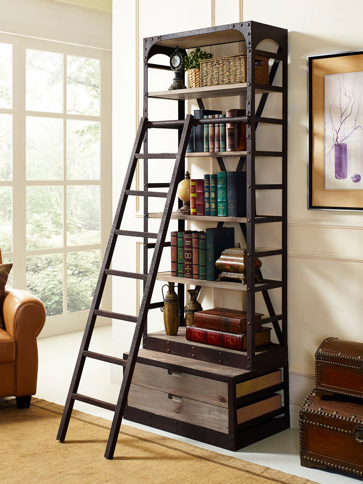 book shelf, ladder