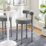 Gray Silver