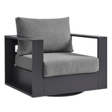 Gray Charcoal