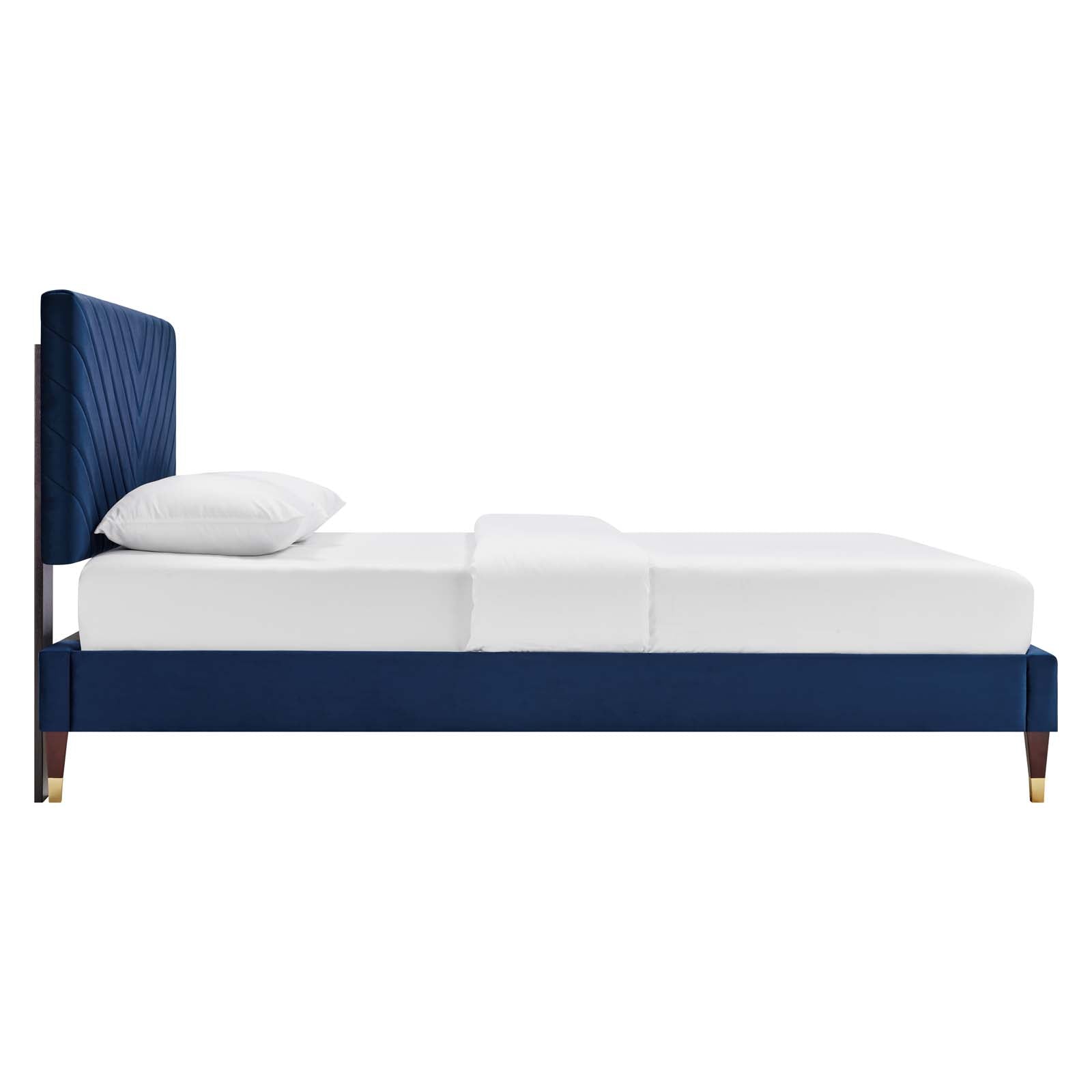 Navy / Queen