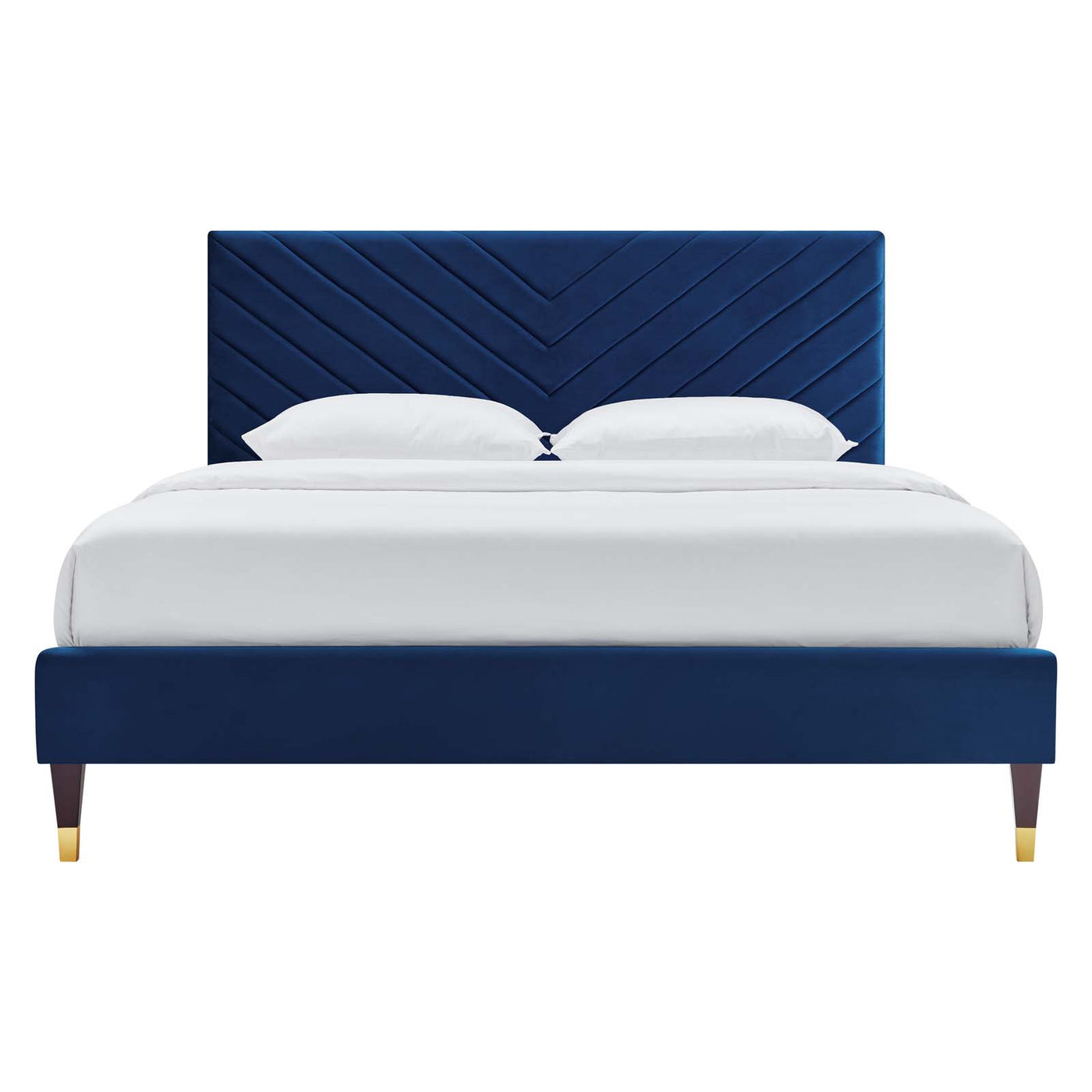Navy / Queen