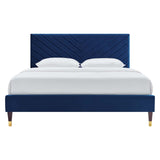 Navy / Queen