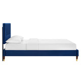 Navy / Full