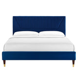 Navy / Full