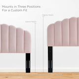 Pink / Twin
