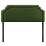 Moss Green Dark Green / Full